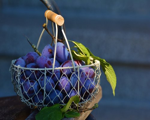 tropical fruits in basket